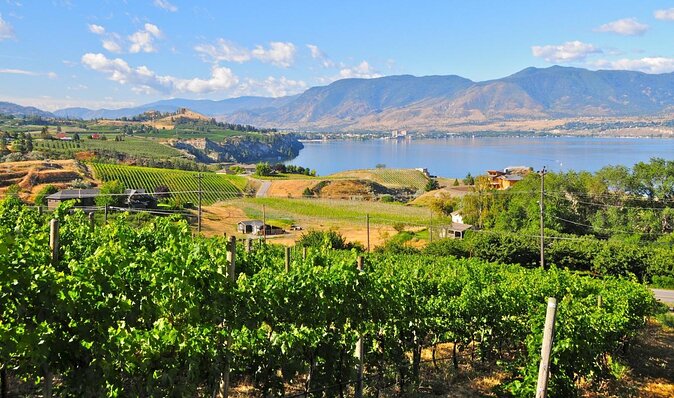 Lake Okanagan Private Cruise and Wine Tasting  - Kelowna & Okanagan Valley - Key Points