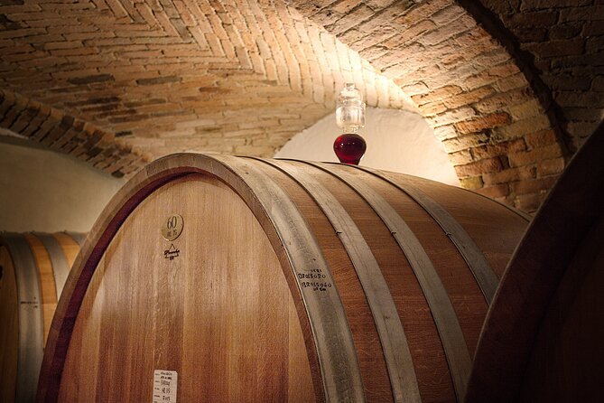 Langhe (Piedmont): Wine Tasting Experience - Key Points