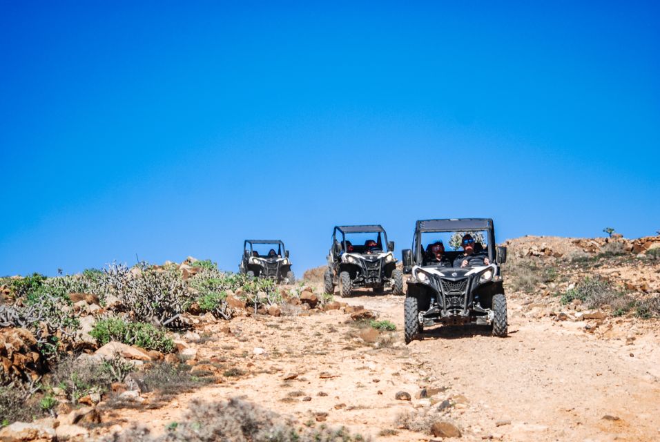 Lanzarote: Guided Off-Road Volcano Buggy Tour With Pickup - Key Points