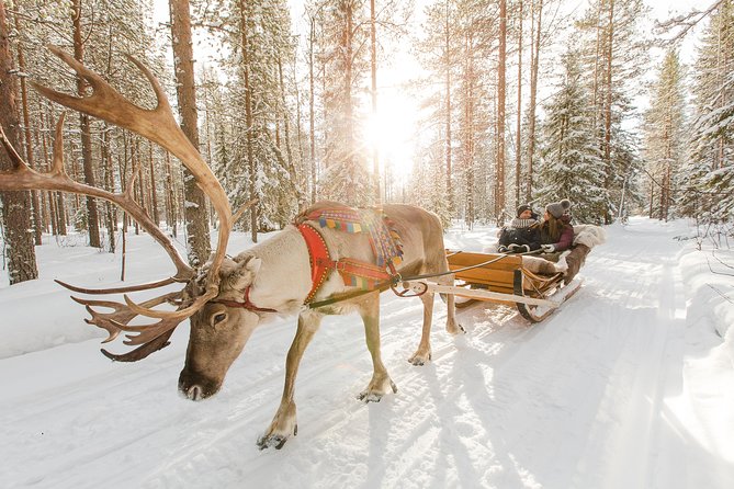 Lapland Reindeer Safari From Rovaniemi - Safari Highlights and Inclusions