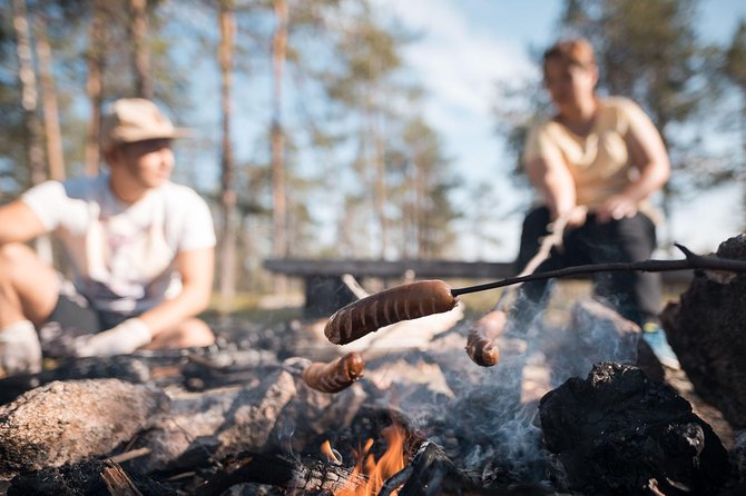 Lapland Small-Group Foraging Tour From Rovaniemi (Mar ) - Tour Overview