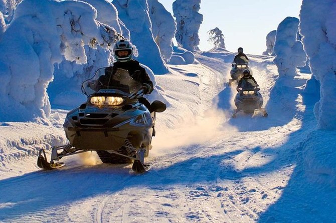 Lapland Snowmobile Safari From Levi - Pricing Details