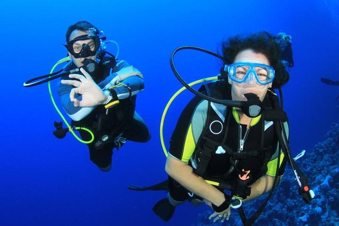 Learn to Dive PADI Open Water Diver Course - Key Points