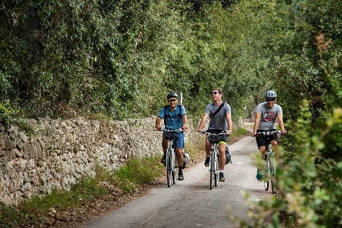 Lecce to Cesine Protected Natural Reserve Full-Day Bike Tour - Key Points