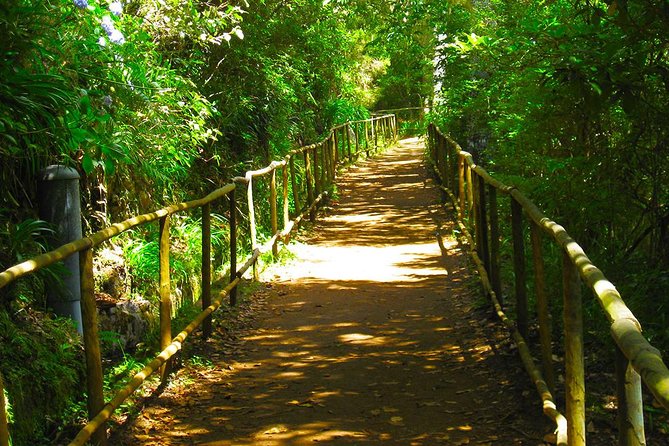 Levada Do Caldeirão Verde Levada Walk From Funchal - Key Points