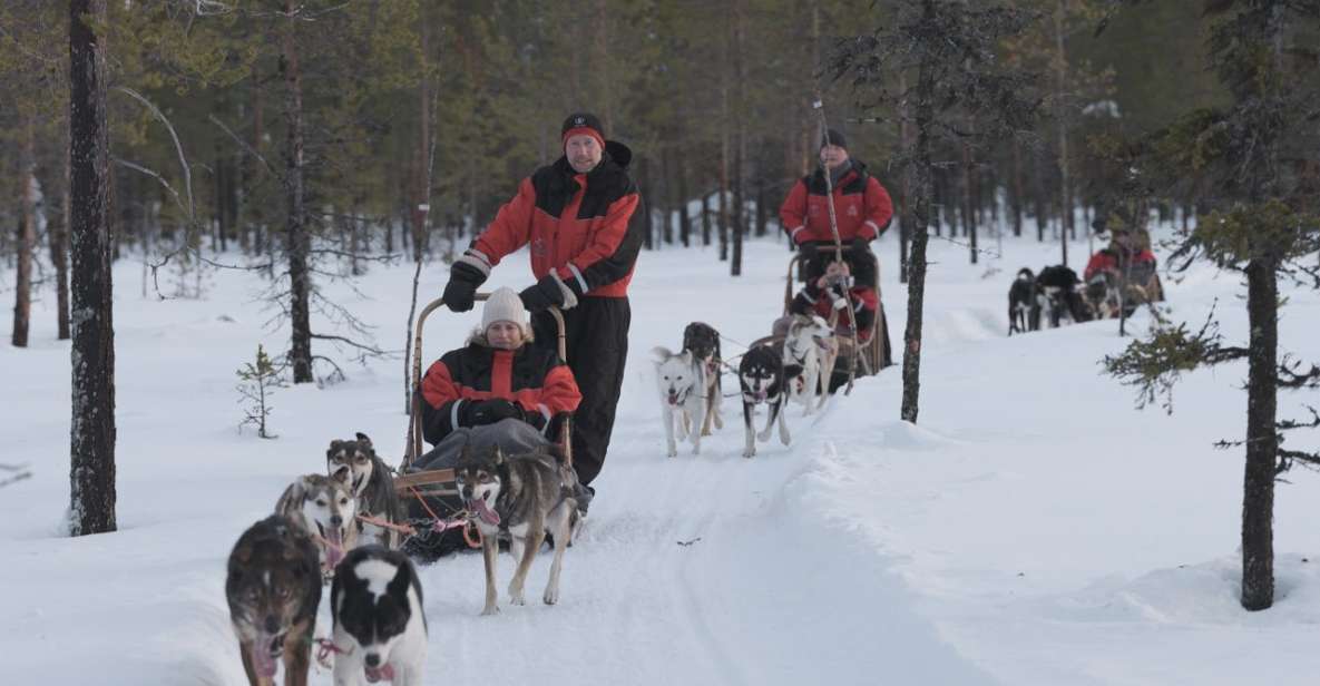 Levi: Evening Husky Sled Ride Under the Northern Lights - Key Points