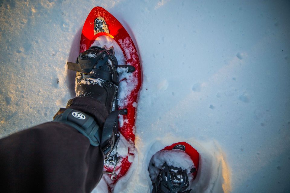 Levi: Snowshoe Adventure in the Wilderness - Key Points