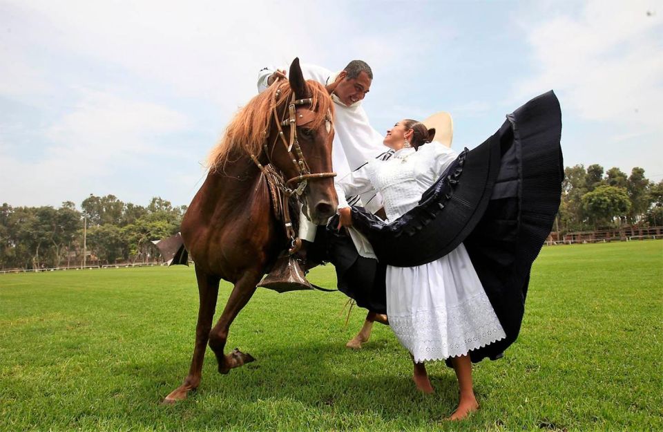 Lima: Buffet Dinner, Dance Show Peruvian Paso Horses - Key Points