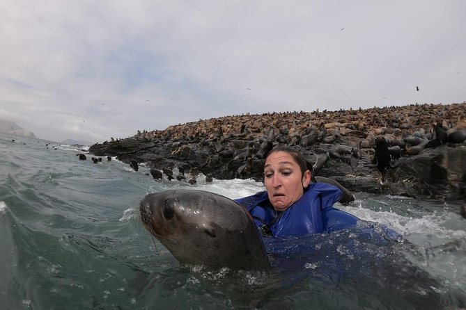 Lima to Palomino Islands Half-Day Sightseeing Cruise - Tour Highlights