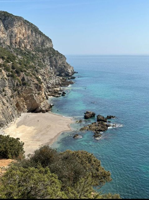 Lisbon: Dolphin Watching in Costa Azul – Arrábida