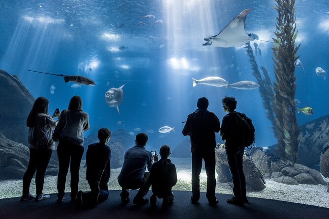 Lisbon Oceanario: Aquarium Entrance Ticket - Key Points