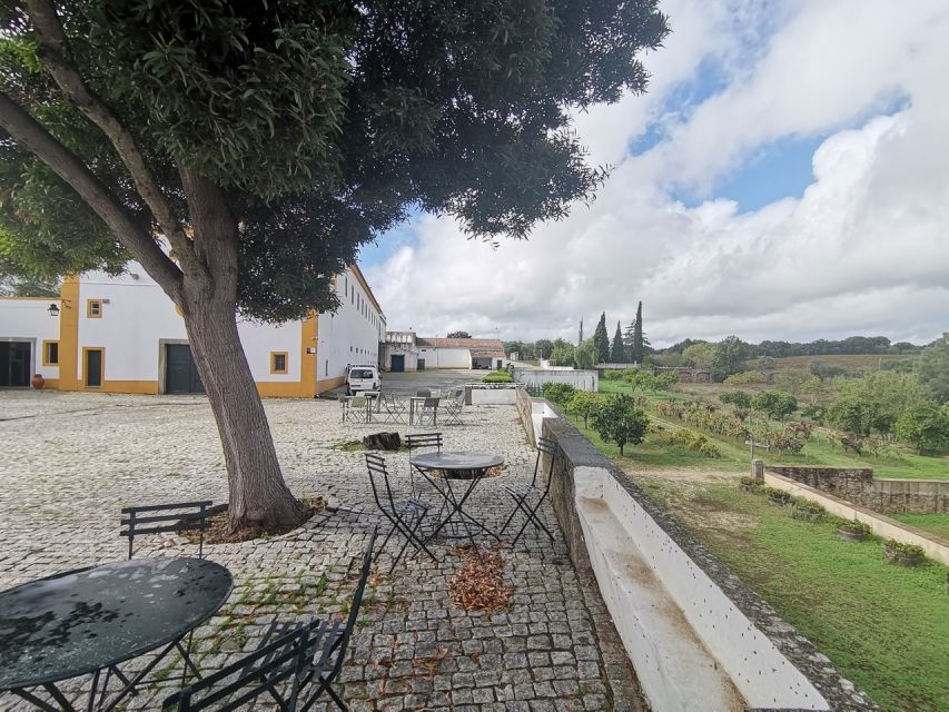 Lisbon: Private Tour Evora With Wine Tasting at the Cartuxa - Key Points