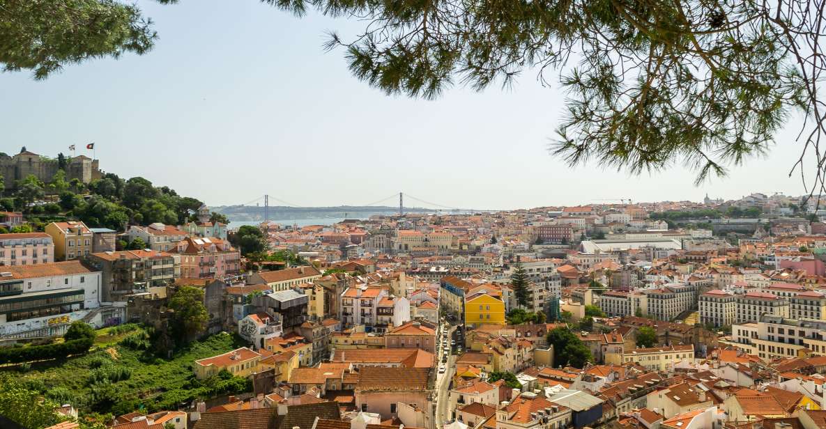 Lisbon: Walking Tour, Boat Cruise, Trams, and Elevators - Key Points