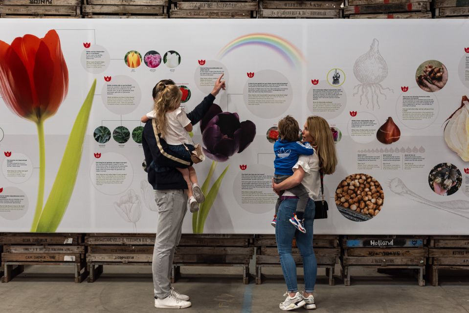 Lisse: Tulip Experience Ticket With Museum & Flower Picking - Key Points
