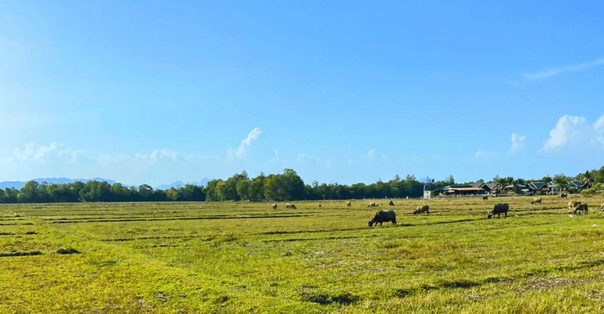 Local Culture Community at Koh Yao Yai - Key Points