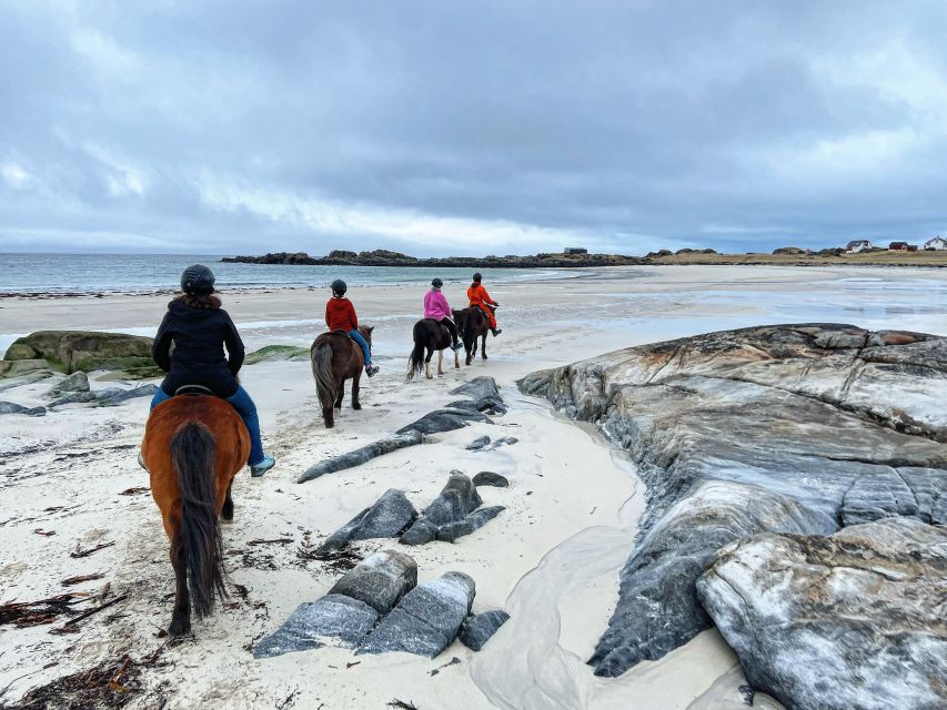 Lofoten: Guided Horse Riding Tour Over Hov and Hovsund - Booking Information