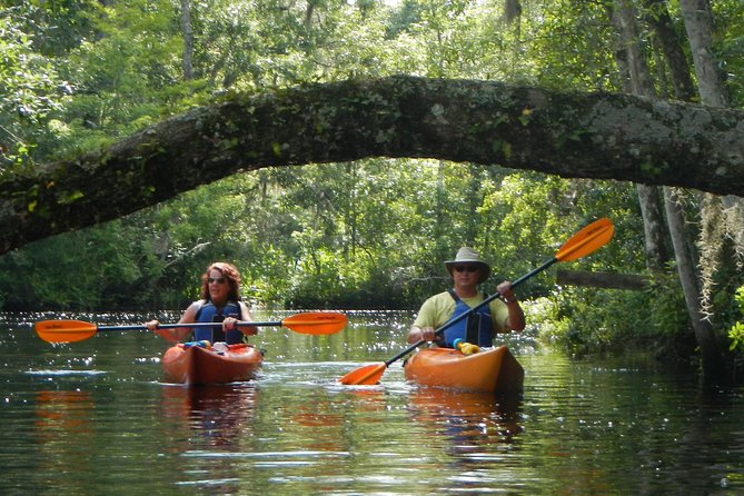 Lofton Creek Kayaking Trip With Professional Guide - Key Points