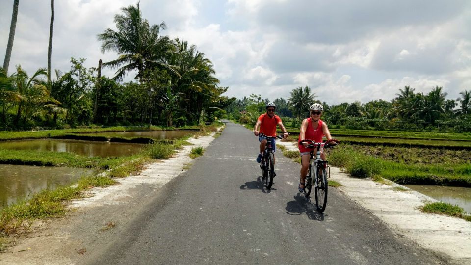 Lombok : Rice Field, Lingsar Temple, Fun Ride - Key Points