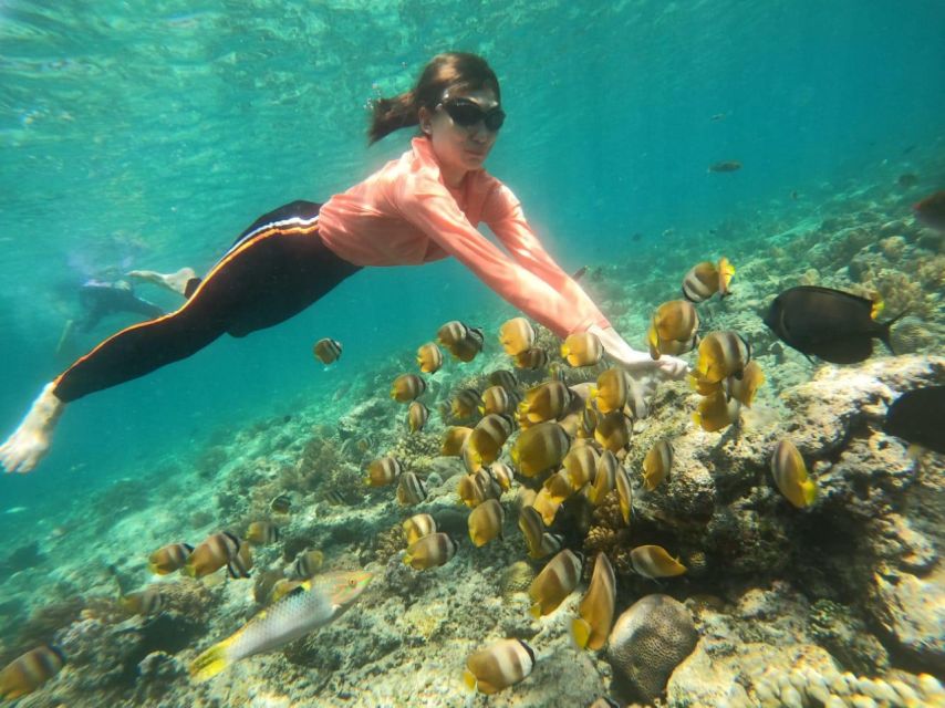 Lombok : Trawangan, Meno & Air Islands Full Day Snorkeling - Key Points