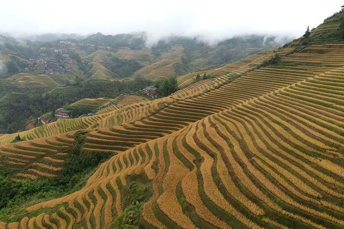 Longji Rice Terraces With the Dazhai Cable Car Private Day Tour - Key Points