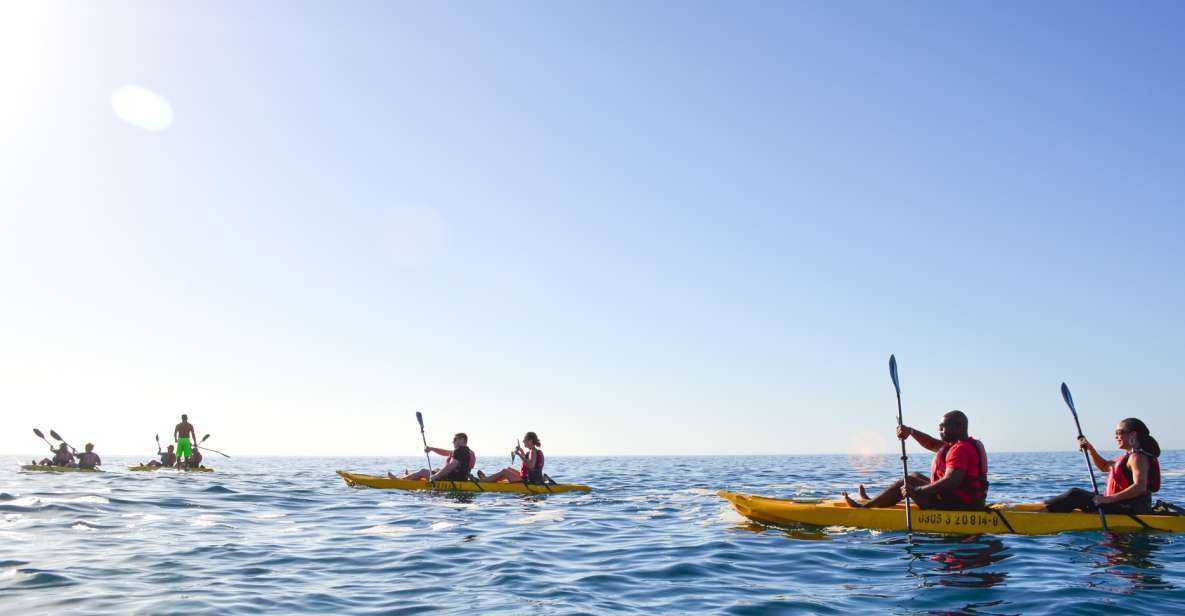 Los Cabos: Bay Kayaking and Snorkeling Private Tour - Key Points