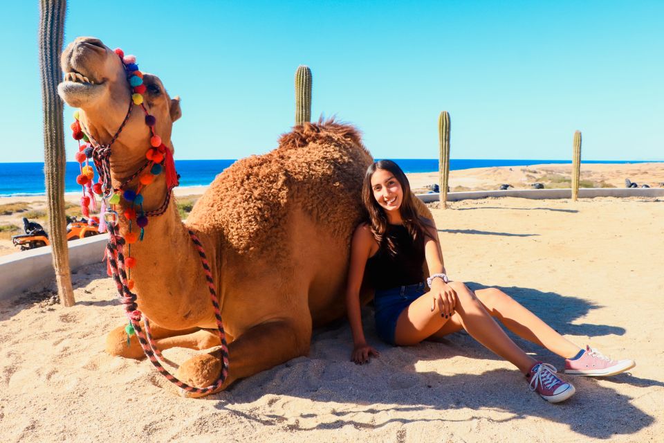 Los Cabos: Camel Safari Adventure - Key Points
