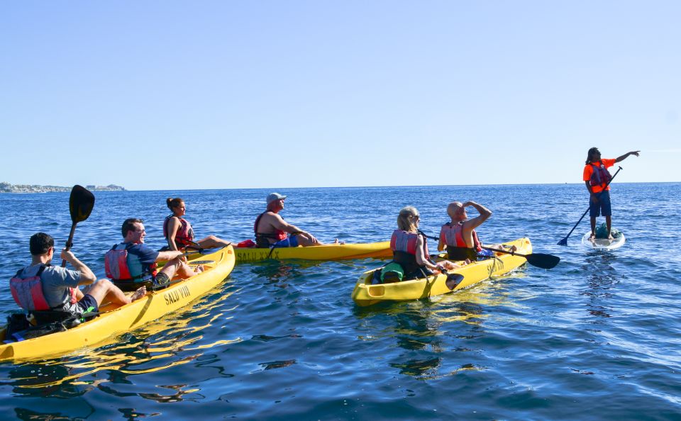 Los Cabos: Private Kayaking and Snorkeling Tour at the Arch - Key Points