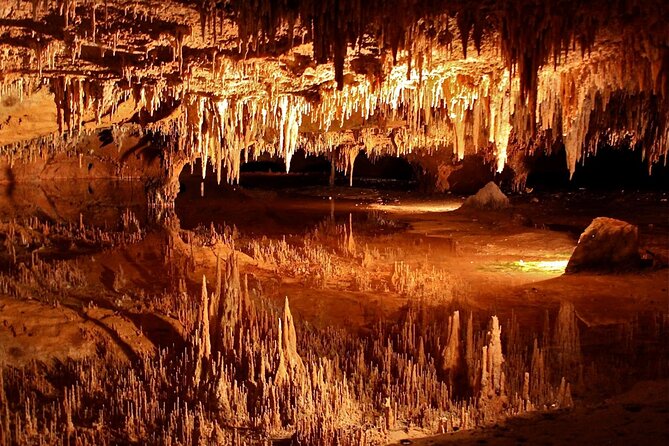 Luray Caverns & Shenandoah Skyline Drive Day-Trip From DC - Key Points