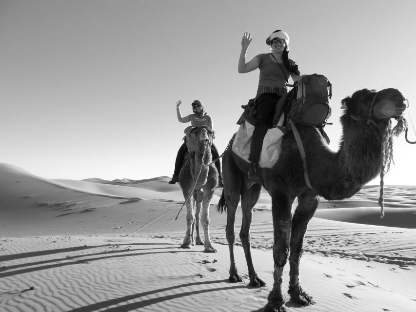 Luxury Desert Camp With Camel Ride, Meals & Sandboarding - Key Points