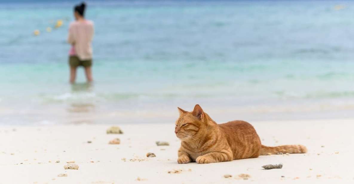 Luxury Lipe Cave Khai Island Long Tail Boat Half-Day - Key Points