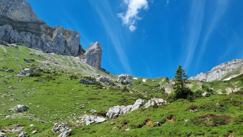 Luzern: Guided Hidden Mount Pilatus Hike - Key Points