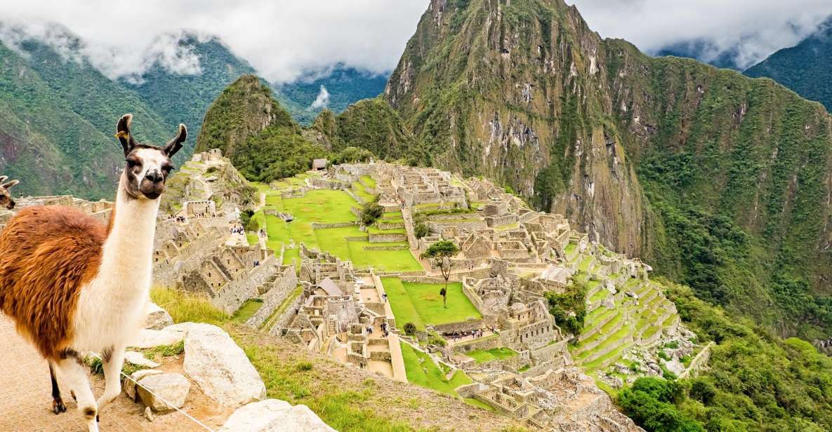 Machu Picchu: Full-Day Tour From Cusco With Optional Lunch - Key Points