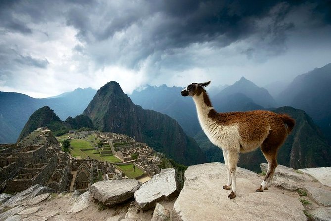 Machu Picchu Private Full-Day Tour From Cusco - Tour Overview