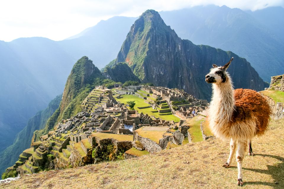 Machu Picchu: Ruins & Machu Picchu Mountain Official Tickets - Key Points