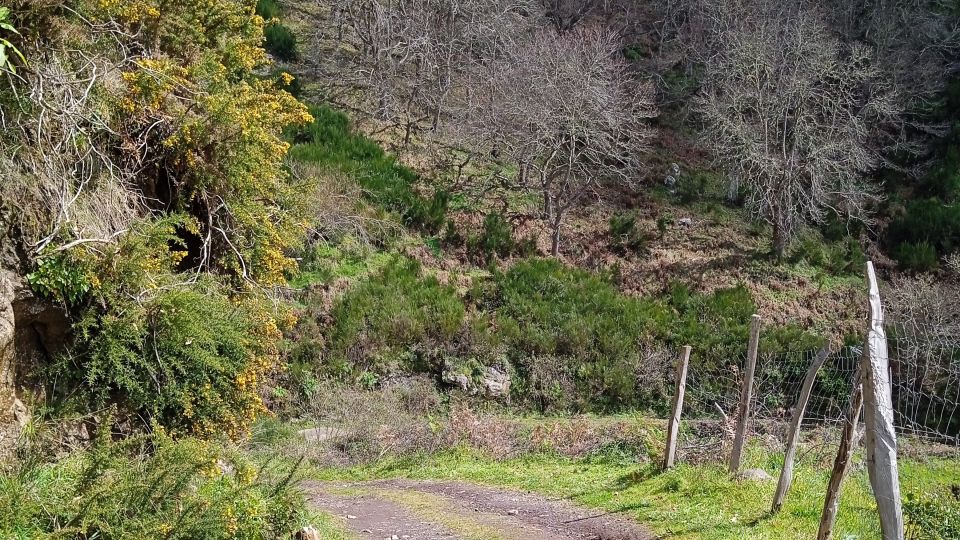 Madeira All Day Jeep Nature Tours. - Key Points