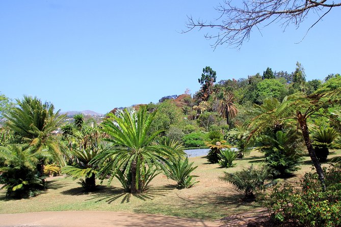 Madeira Botanical Garden: Private Tour With Round-Trip Tuk-Tuk  - Funchal - Tour Pricing and Booking Details