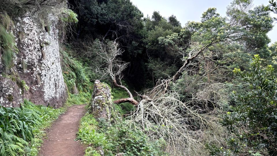 Madeira: Cliff Hanger (Hike) Larano Walk - Key Points