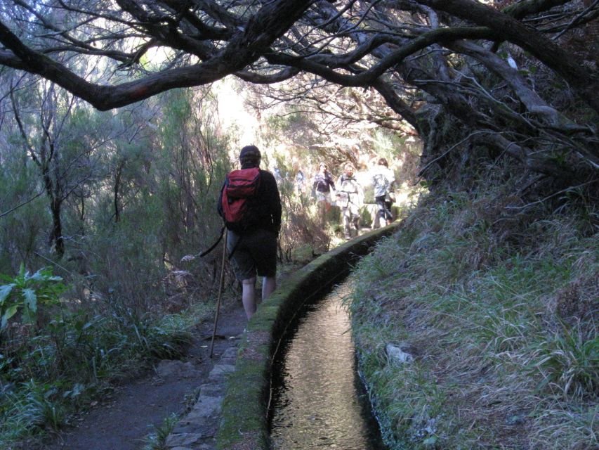 Madeira: Guided Full-Day Rabaçal Walk - Key Points