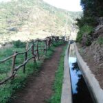 madeira half day private walking tour to levada do canical and machico Madeira: Half-Day Private Walking Tour to Levada Do Caniçal and Machico