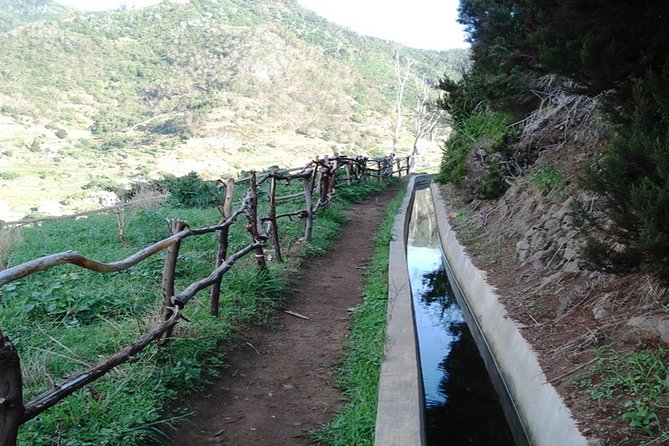 madeira half day private walking tour to levada do canical and machico Madeira: Half-Day Private Walking Tour to Levada Do Caniçal and Machico