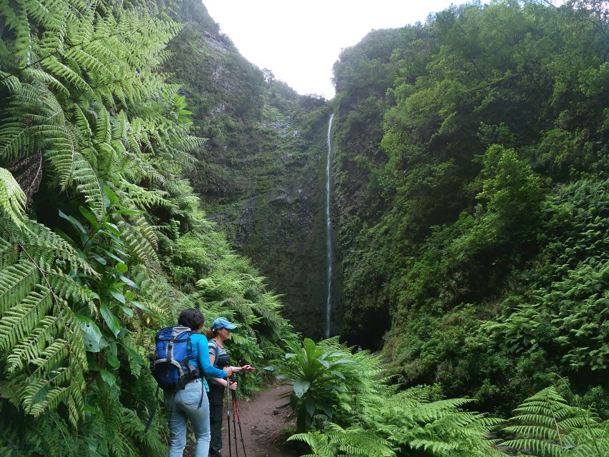 Madeira Island: Caldeirão Verde Levada Walk - Key Points