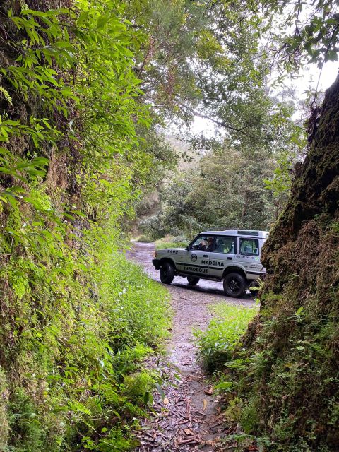 Madeira "Mystery Tour" Half-Day - Private 4x4 Jeep - Key Points