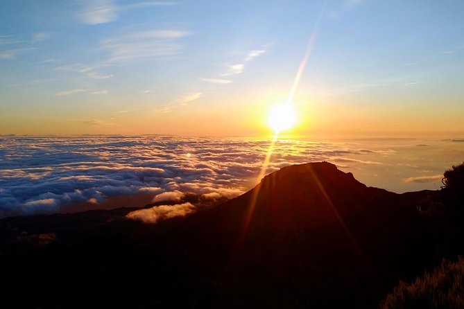Madeira: Pico Ruivo Small-Group Sunrise Hike  - Funchal - Key Points