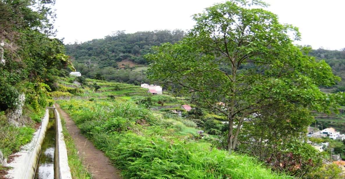 Madeira: Private Hike From Levada Do Caniçal to Machico - Key Points