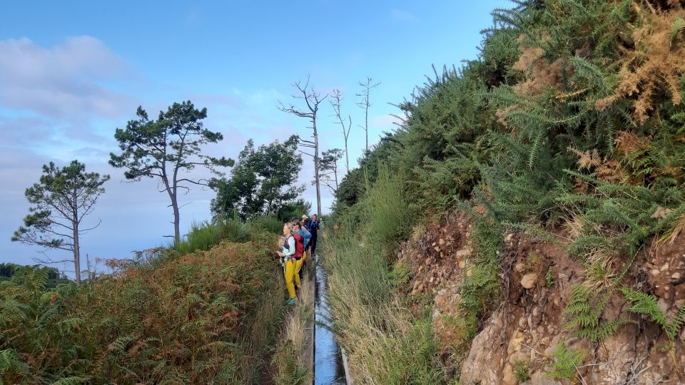 Madeira: Private Levada Ponta Do Pargo Walk - Key Points