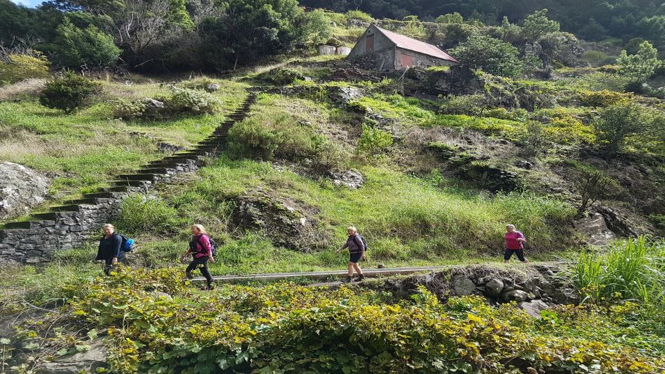 Madeira: Private Vereda Do Larano Hike - Key Points