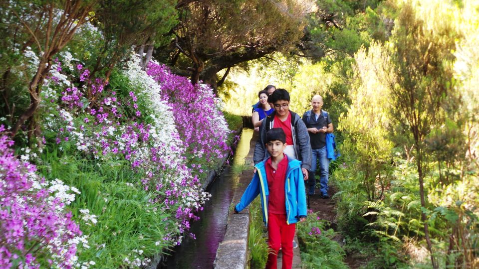 Madeira: Rabaçal 25 Fountains Levada Walk & Cabo Girão - Key Points