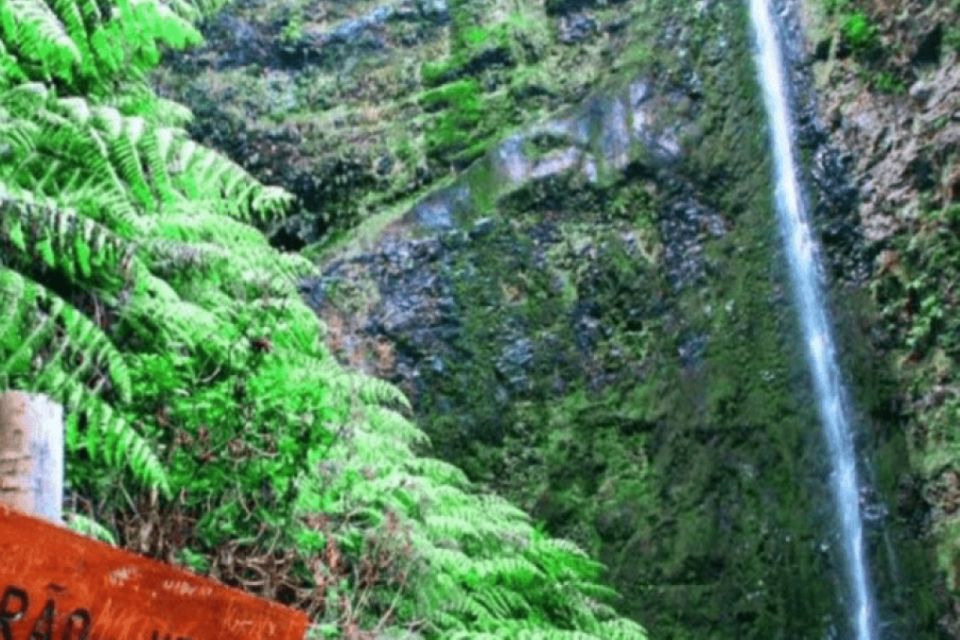 Madeira: Walking Tour - Queimadas / Caldeirão Verde - Key Points