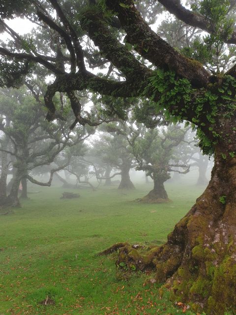 Madeira Wild West 4X4 Private Tour - Key Points