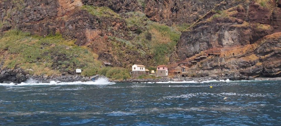 Madeira: Yacht Tours - Wildlife & Bays, Sunset, Desert Isles - Key Points